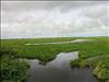 Practica de Ecologia Vegetal en el Hato del Frio (Apure) (20)